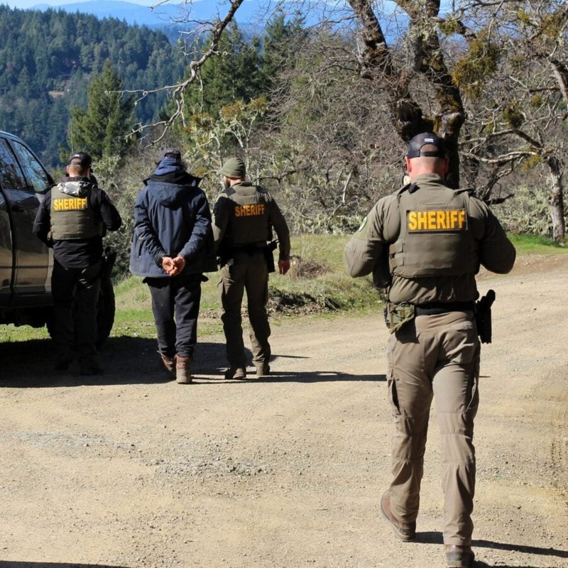 Humboldt County sheriff’s deputies arresting cannabis farm owner Georgi Tonev